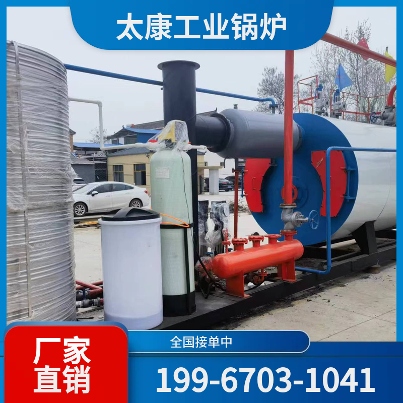 陇南生物质热水锅炉