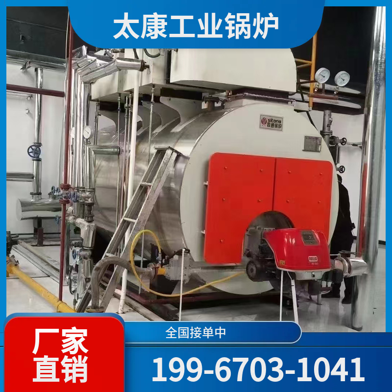 陇南燃煤蒸汽锅炉